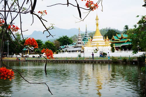 Hai tuần dọc ngang miền Bắc Thái